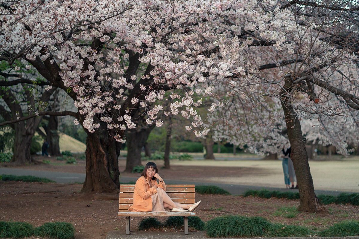 girl seating in a bench with sakura behind 
